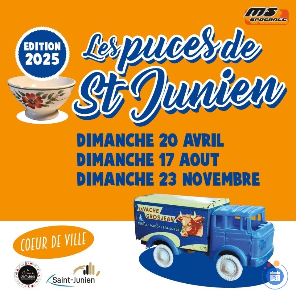 Image Les puces de Saint Junien (photo 1)