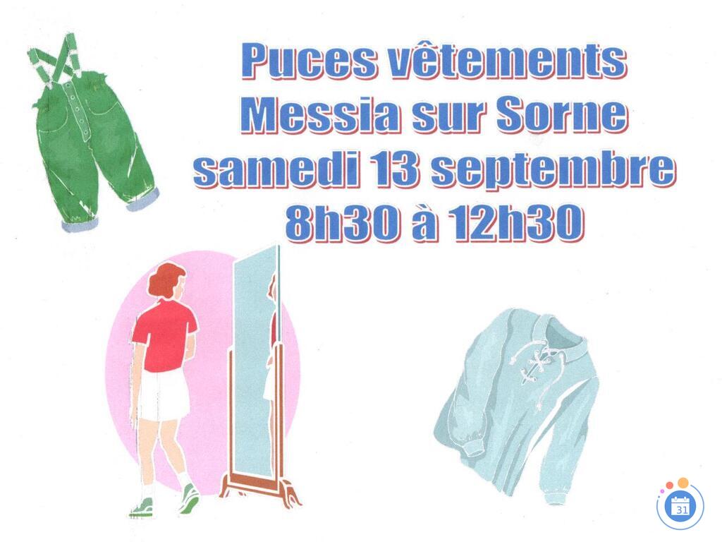 Image Puces aux vêtements (photo 1)