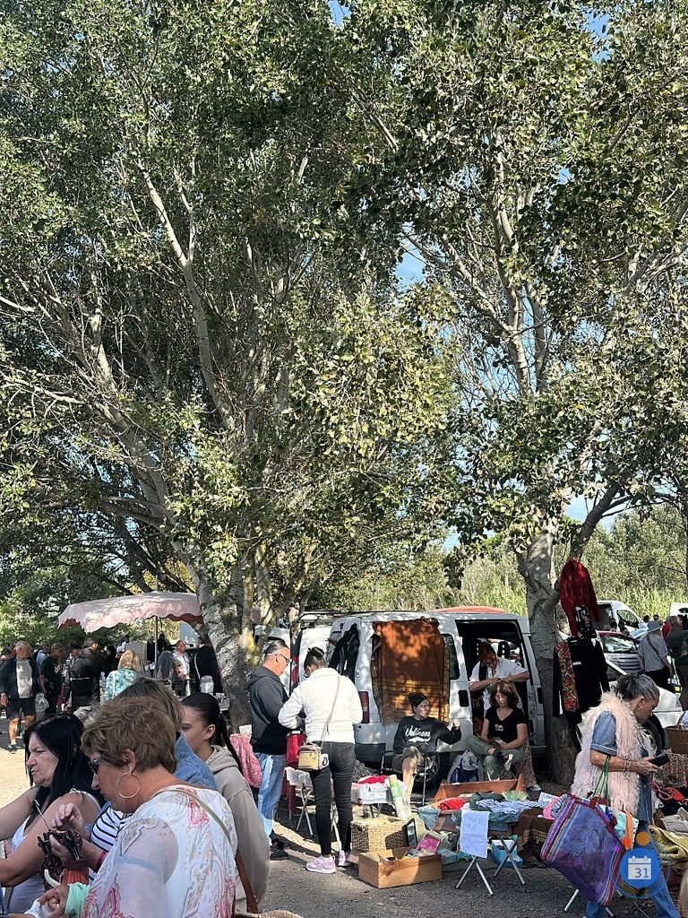 Image Puces, brocante et vide grenier (photo 1)