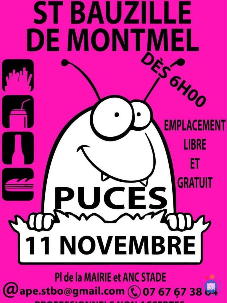 Image Puces d'Automne de l'APE (photo 1)