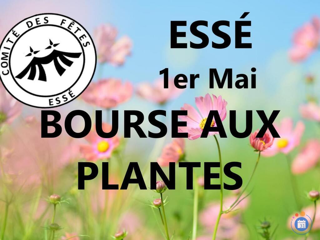Image Bourse aux Plantes organisée par le Comité des Fêtes d'ESSE (photo 1)