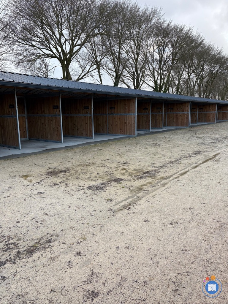 Image Vide grenier aux écuries de l’hippodrome de la glacerie (photo 1)