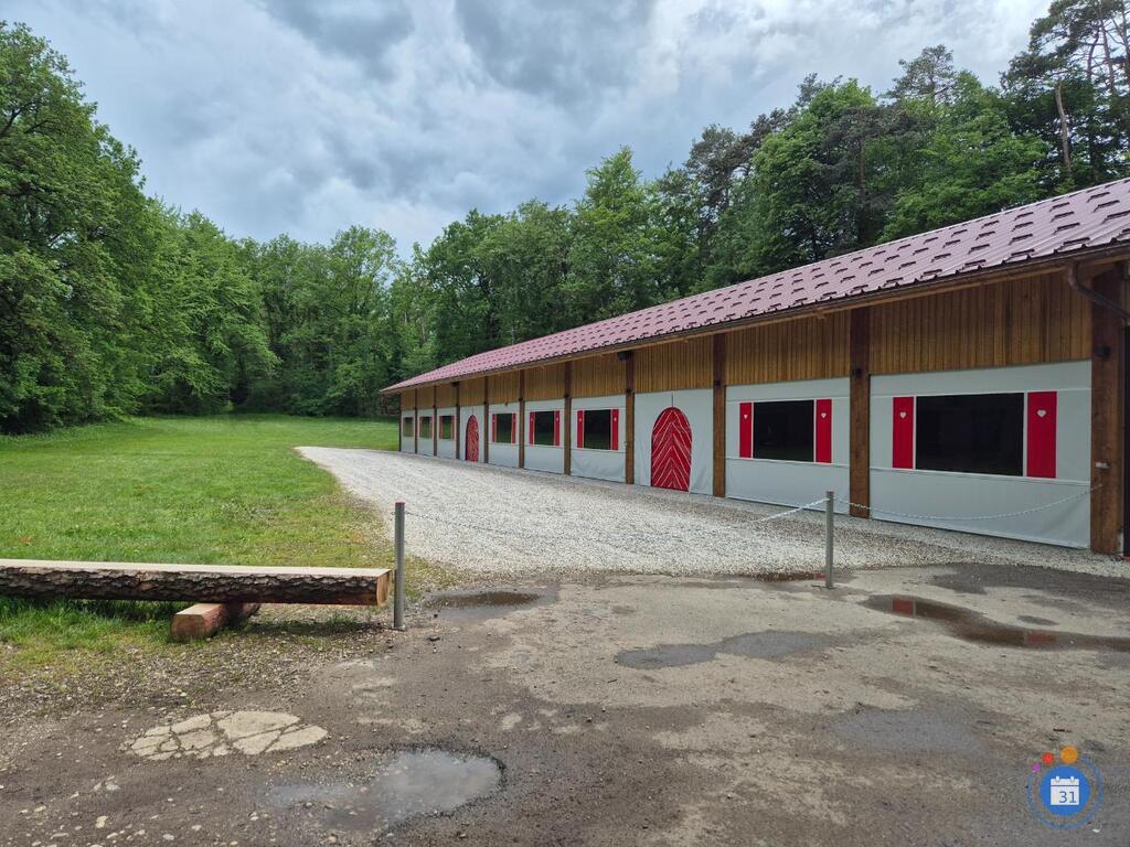 Image Vide grenier des planches (photo 1)