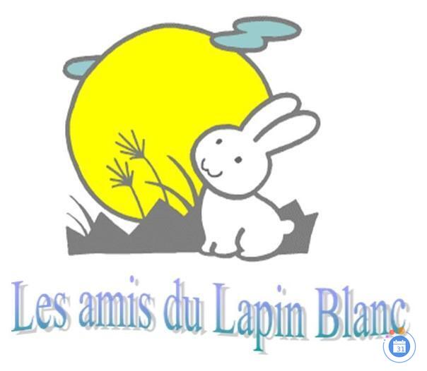 Image Vide greniers des Amis du Lapin Blanc (photo 1)