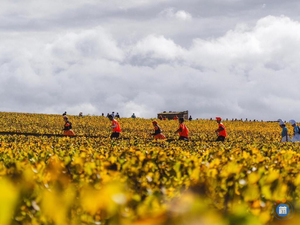 Image Marathon de Chablis (photo 2)