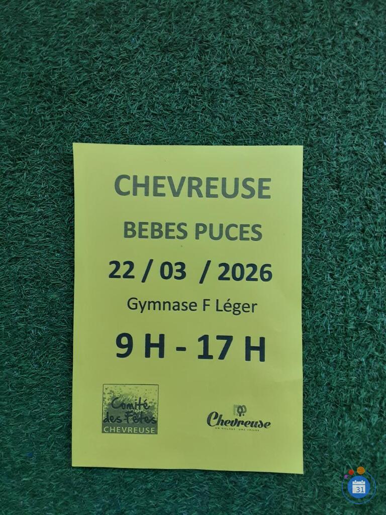 Image Bébé puces (photo 1)