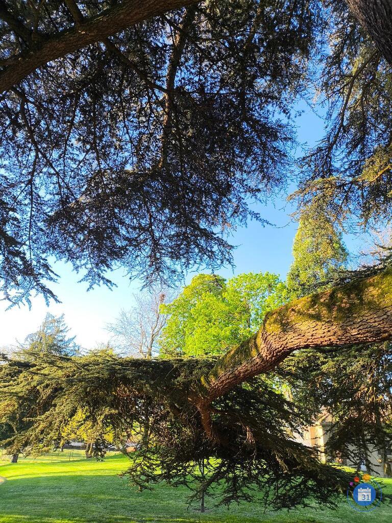 Image Vide-greniers municipal (photo 1)