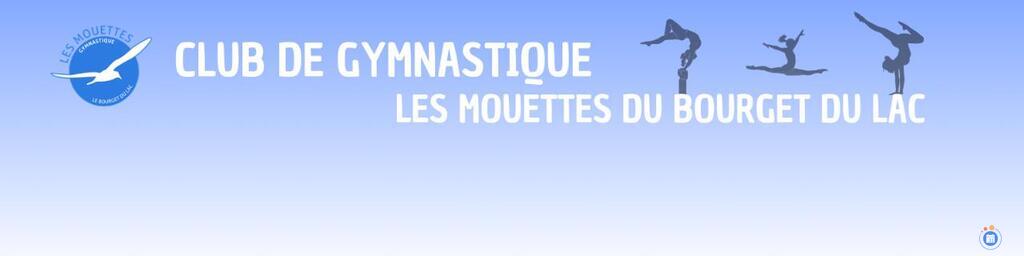 Image Bourse aux jouets des Mouettes du Bourget du lac (photo 1)