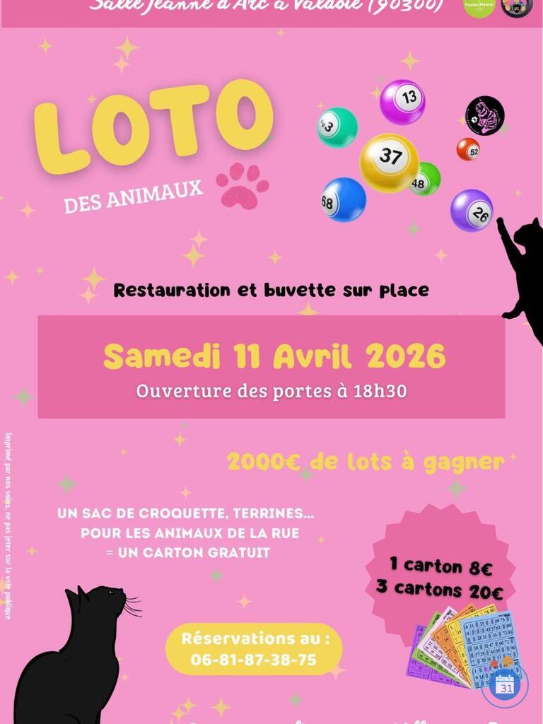 Image Loto des Mille et une Pattes (photo 1)