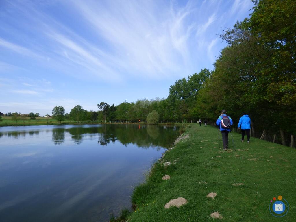 Image La Rand'Omelette 2026 (photo 2)