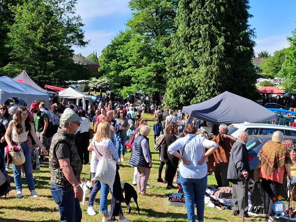 Image Marche aux fleurs et vide grenier geant (photo 1)