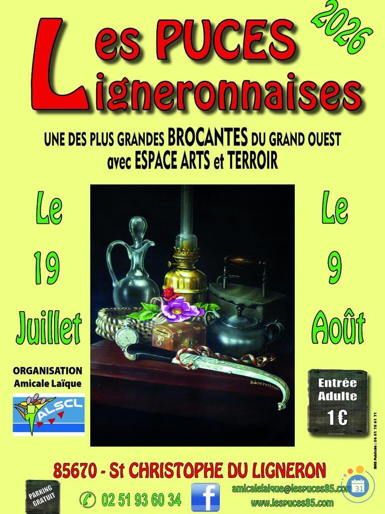 Image Les puces ligneronnaises (photo 1)