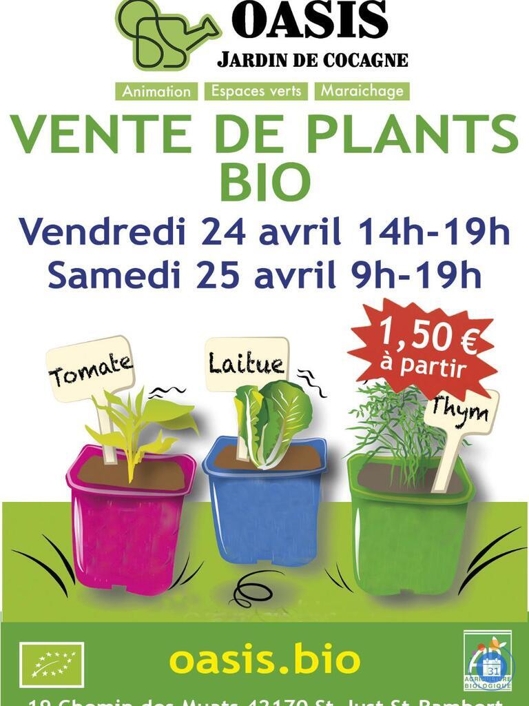 Image Vente de Plants Bio à OASIS Jardin de Cocagne (photo 1)