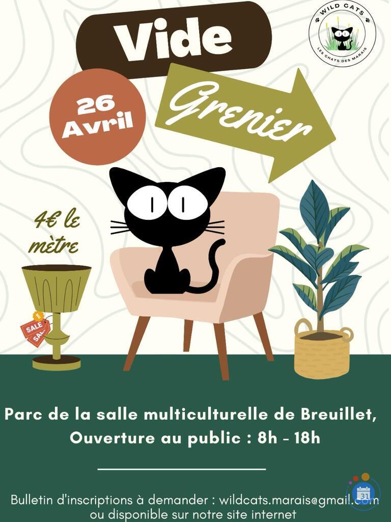 Image Vide grenier des Wild Cats (photo 1)