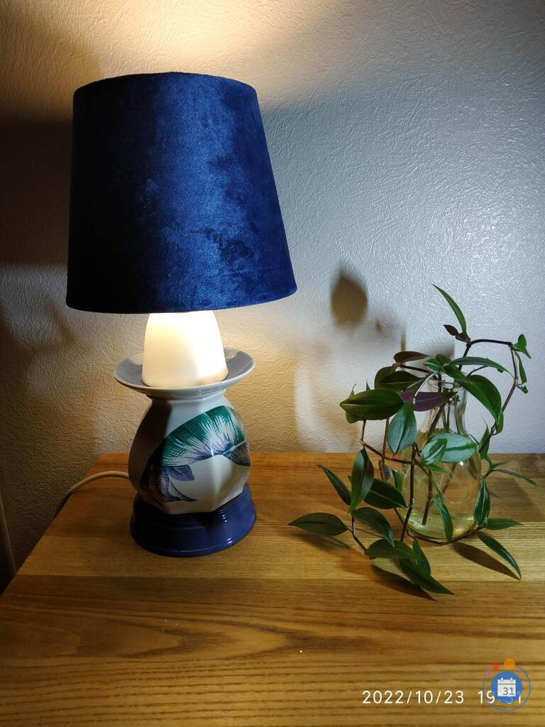 Image vide-maison, vide-dressing (photo 6)