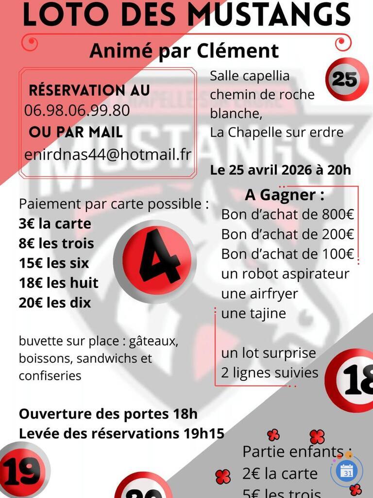 Image Loto des mustangs (photo 1)