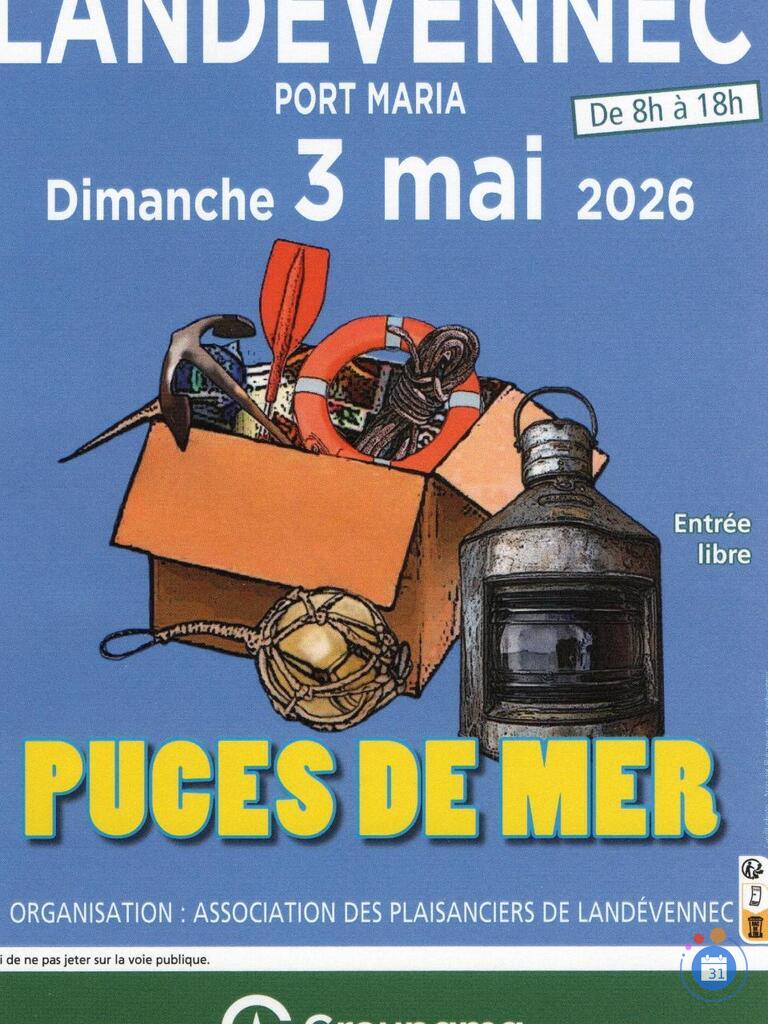 Image 1ère puces de mer à landévennec (photo 1)