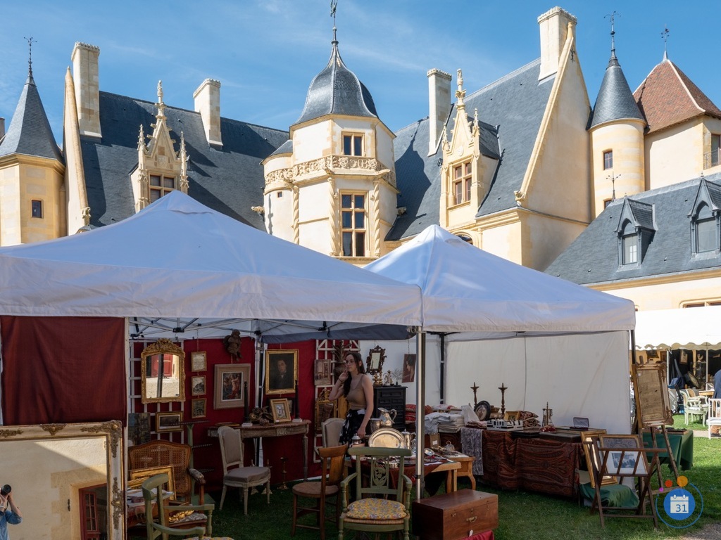 Image Salon des Curiosités du Château d'Ainay-le-Vieil (photo 1)