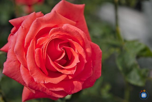 Image ( L' association ) (photo 1)