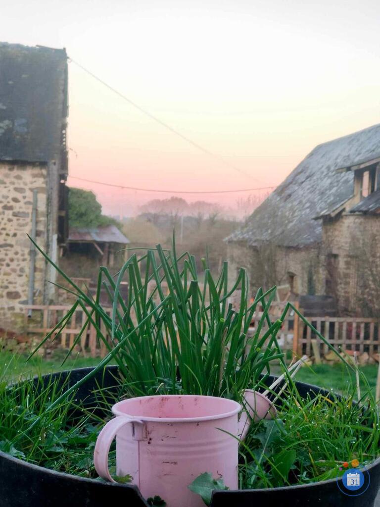 Image Vide Maison (photo 1)