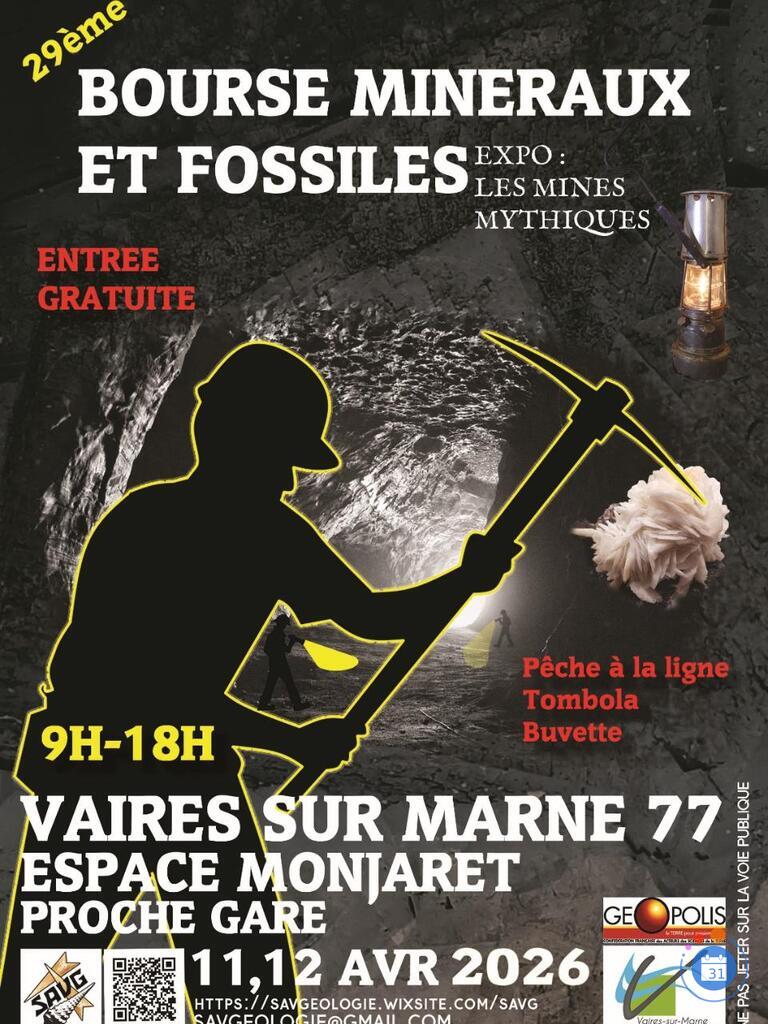 Image 29ème Bourse Minéraux et Fossiles Vaires-sur-Marne (77360) (photo 1)