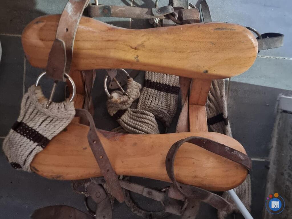 Image vide maison ventes et don (photo 4)