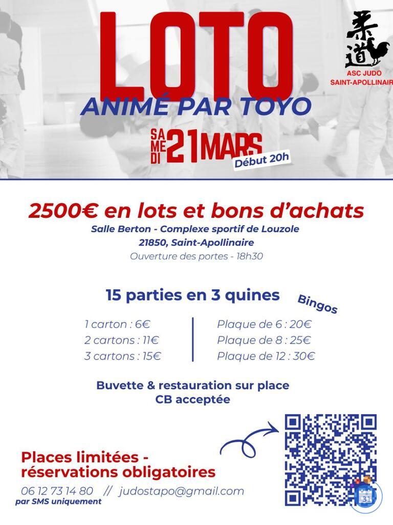 Image Loto Judo Saint-Apollinaire animé par Toyo (photo 1)