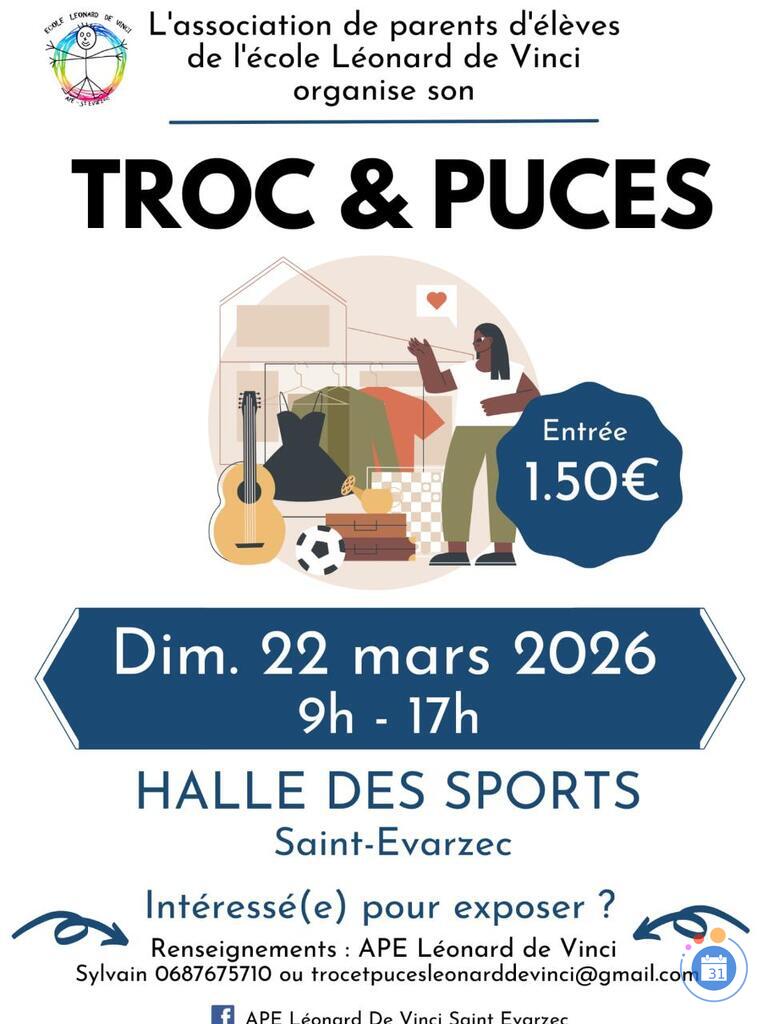 Image Troc et puces - ape leonard de vinci (photo 1)