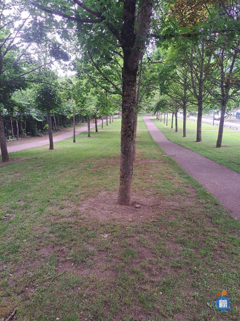 Image 8éme vide grenier contre le Harcèlement (photo 1)