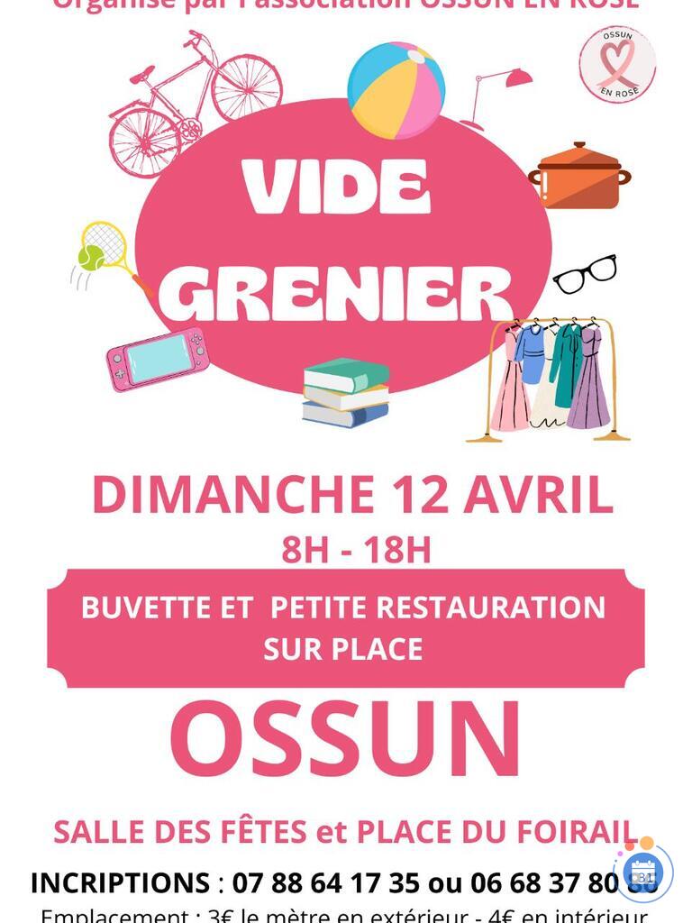 Image Vide grenier Ossun en Rose (photo 1)