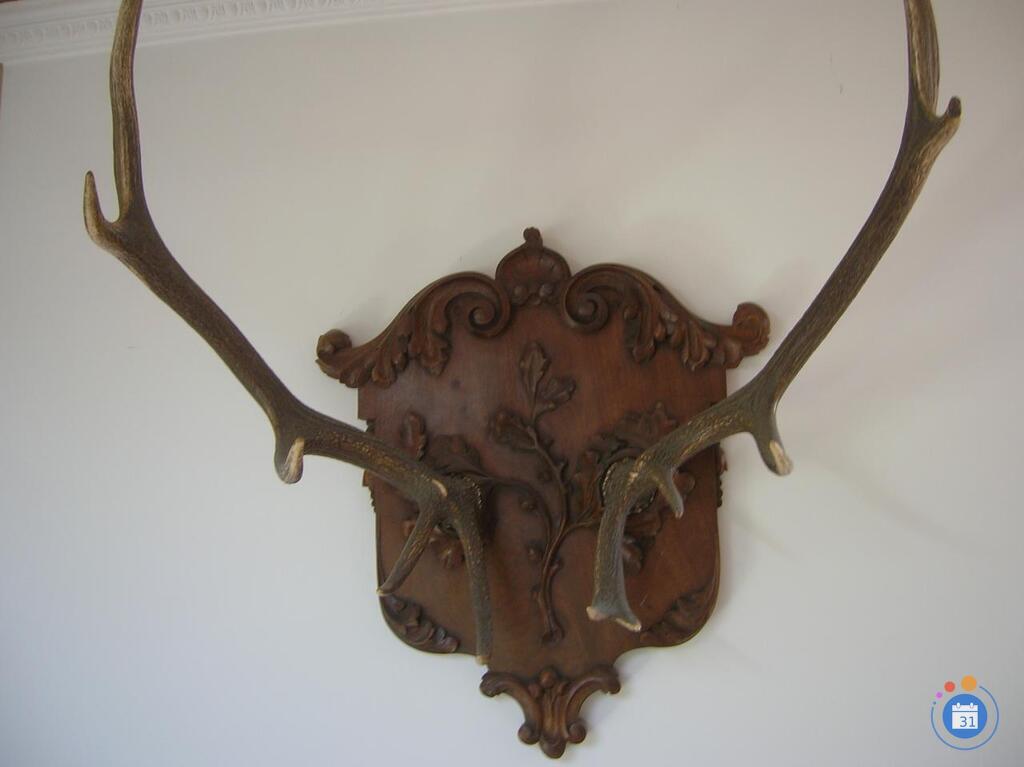 Image Vide maison avant déménagement . (photo 1)