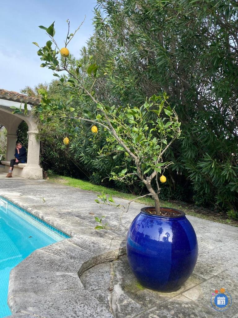 Image Vide Maison (photo 2)