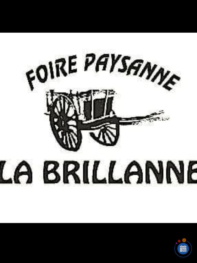 Image vide grenier de la foire paysanne (photo 1)