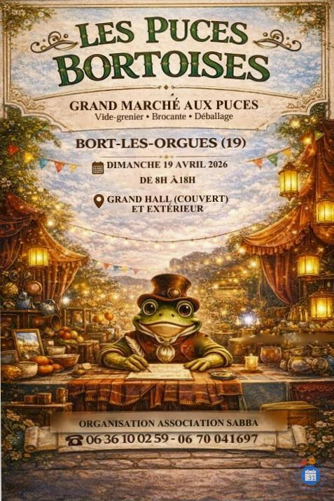 Image Grandes puces bortoises (photo 1)