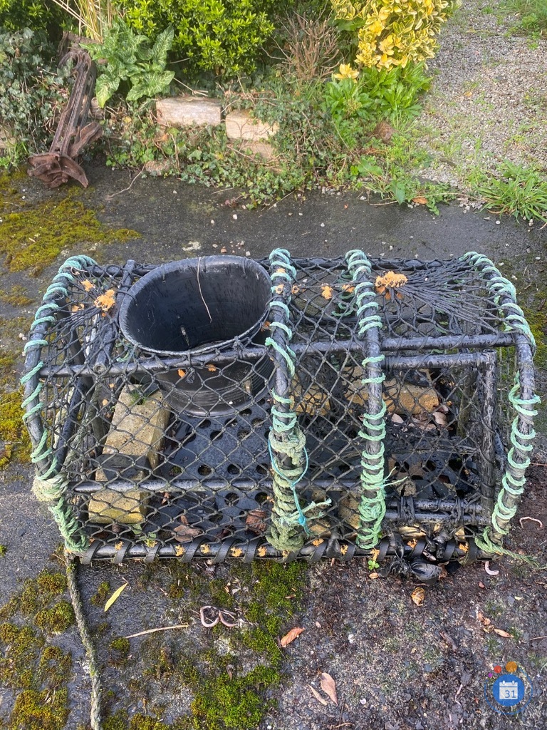 Image Vide (photo 6)