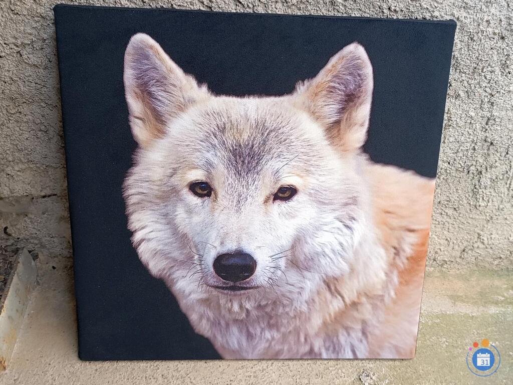 Image Vide Maison (photo 6)