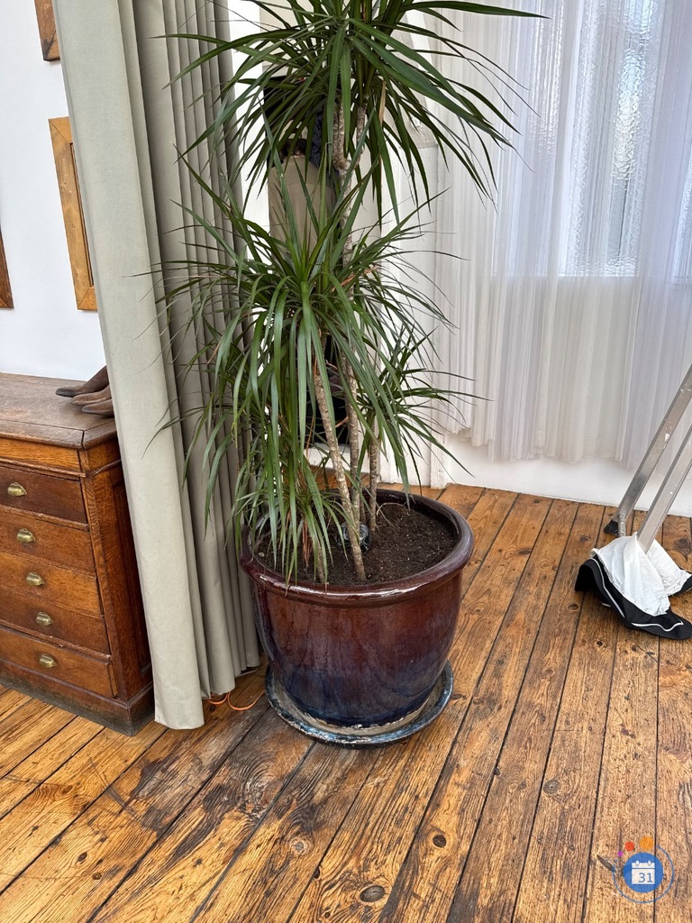 Image Vide de studio (photo 5)