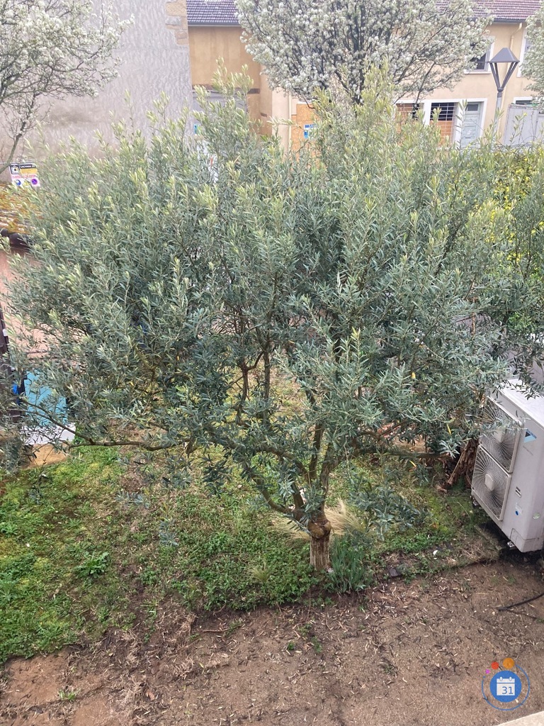 Image Vide maison entrée par la rue Thomas Blanchet (photo 1)