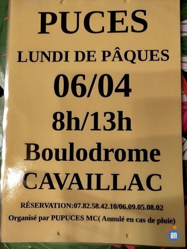 Image Puces du Lundi de Pâques (photo 1)