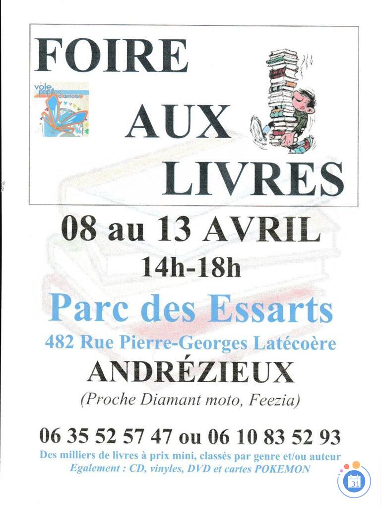 Image Foire aux livres, Vinyles, DVD, CD et cartes POKEMON (photo 1)